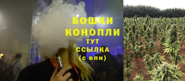 мдма Протвино