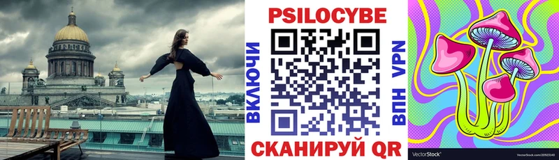 Псилоцибиновые грибы мицелий  Шебекино 