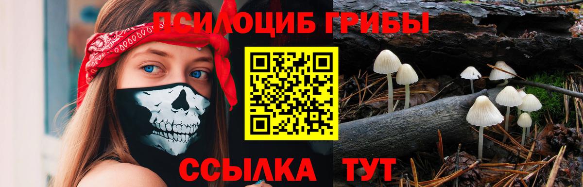 Шебекино  Галлюциногенные грибы MAGIC MUSHROOMS  Вход с VPN 